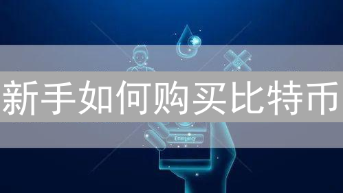 新手如何购买比特币：交易平台选择与入门指南