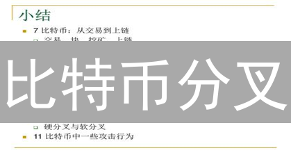 比特币分叉：区块链世界的“罗生门”与未来演进