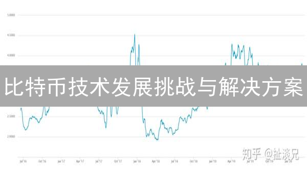 比特币技术发展挑战与解决方案：可扩展性与费用问题分析