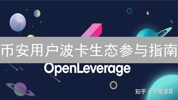 币安用户波卡生态参与指南：投资与策略解析