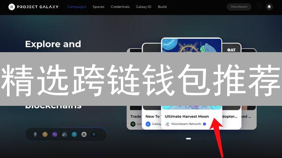 精选跨链钱包推荐：安全性和功能性全面比较
