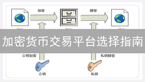 加密货币交易平台选择指南：安全、费用与品种