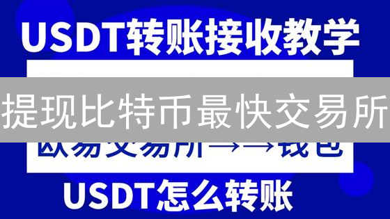 提现比特币最快交易所：速度、安全与选择指南