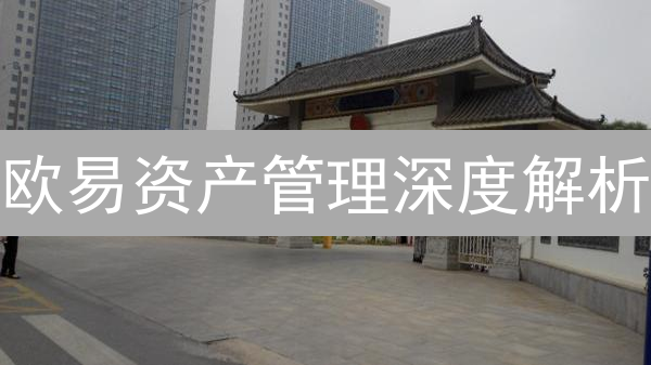 欧易资产管理深度解析：运营策略与功能详解