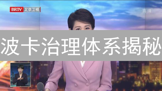 波卡治理体系揭秘：如何保障网络安全与发展？