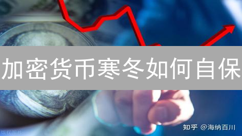 加密货币寒冬如何自保？现金为王的投资策略全解析！