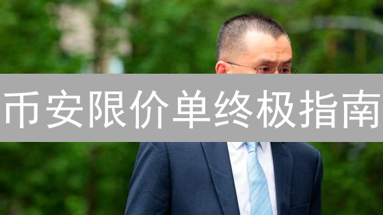 币安限价单终极指南：精准交易，稳操胜券！