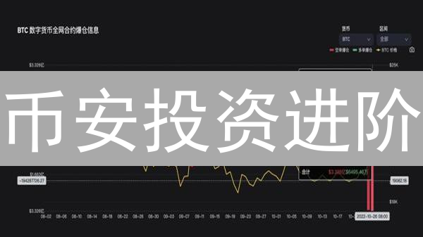 币安投资进阶：新手也能学会的加密货币资产配置指南！