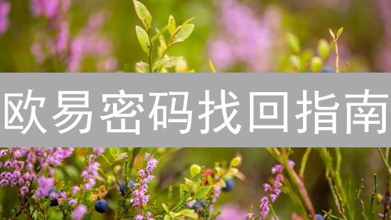 欧易密码找回指南：告别焦虑，重掌账户控制权？