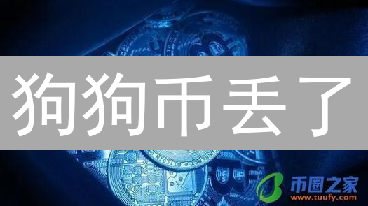 狗狗币丢了？别慌！3步教你快速恢复钱包【2024最新】