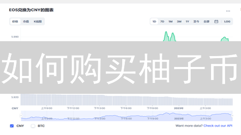 如何购买柚子币？5种最佳支付方式全攻略！