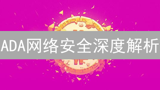 ADA网络安全深度解析：多层防御体系如何保驾护航？