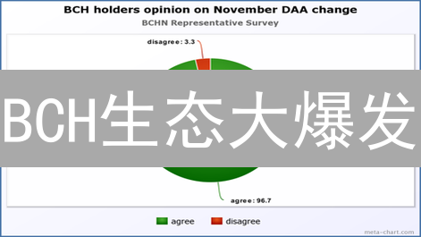 BCH生态大爆发：2024必看项目！新手也能轻松入门