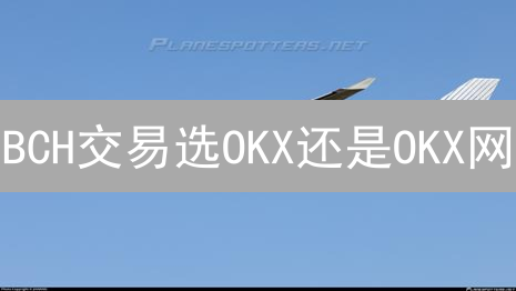 BCH交易选OKX还是OKX网？避坑指南大公开！