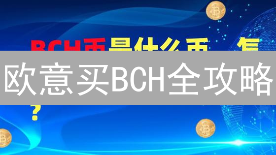 欧意买BCH全攻略：新手也能轻松搞定？这样做！