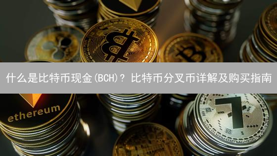 什么是比特币现金(BCH)? 比特币分叉币详解及购买指南
