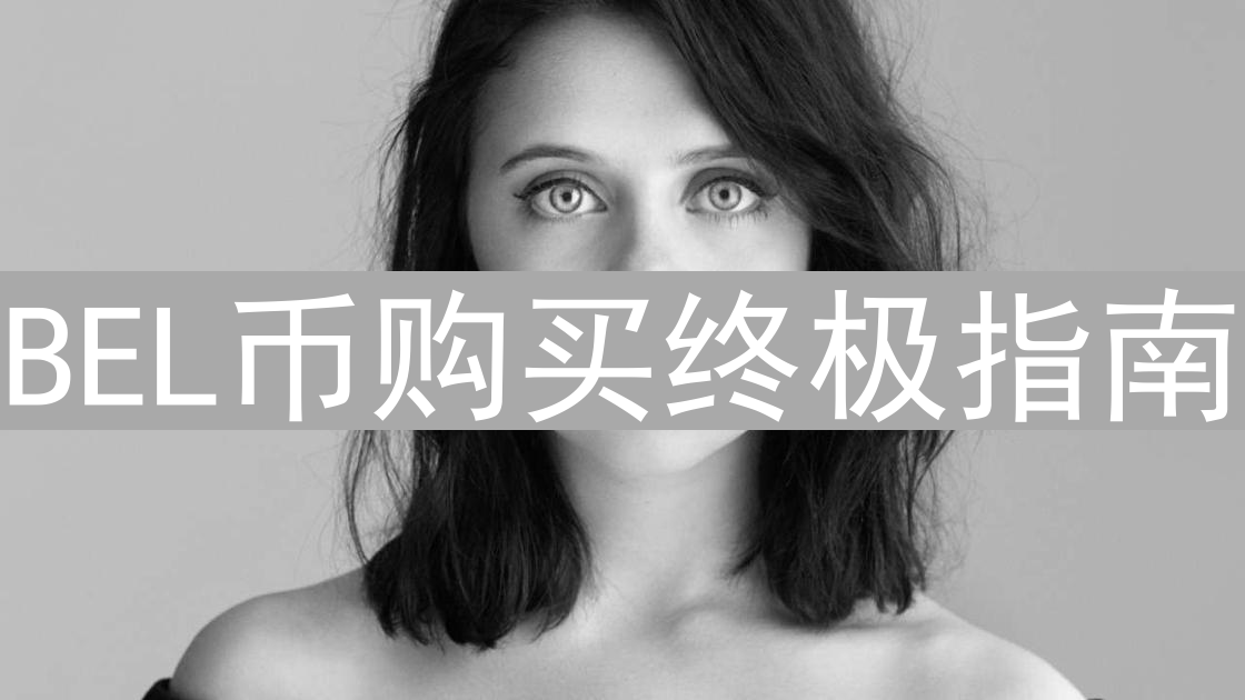 BEL币购买终极指南：交易所选择与交易策略详解