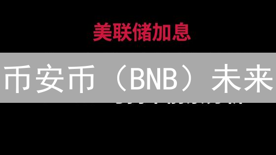 币安币（BNB）未来：生态、应用与挑战深度解析