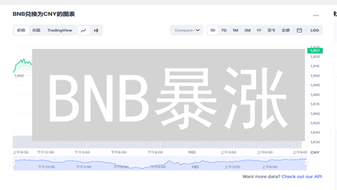 BNB暴涨？深度剖析币安币价格影响因素及未来趋势！