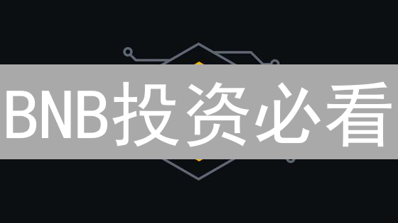 BNB投资必看：风险评估与价格预测深度剖析！
