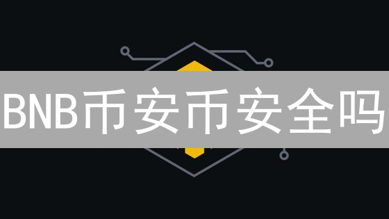 BNB币安币安全吗？深度解析与风险防范指南！
