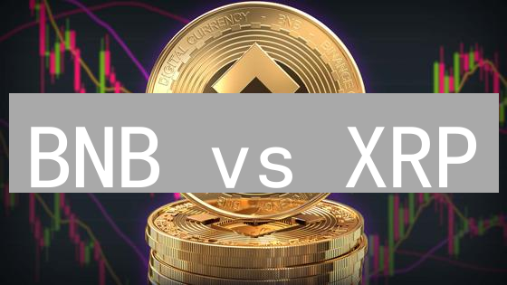 BNB vs XRP：谁是下轮牛市的潜力股？[深度解析]