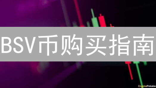 BSV币购买指南：4大途径深度解析，助您安全便捷入手！