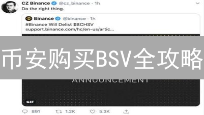 币安购买BSV全攻略：现货、合约交易技巧及投资风险分析！