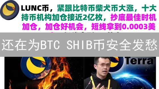 还在为BTC SHIB币安全发愁？终极存储方案大揭秘！