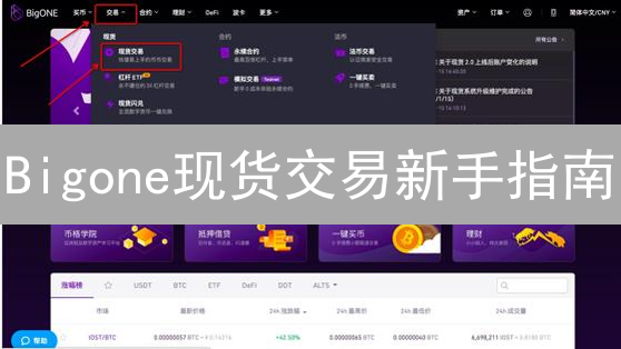 Bigone现货交易新手指南：5分钟上手，安全高效玩转数字货币！
