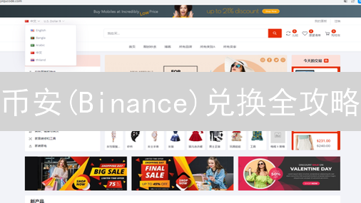 币安(Binance)兑换全攻略：新手必看，省钱技巧大公开！