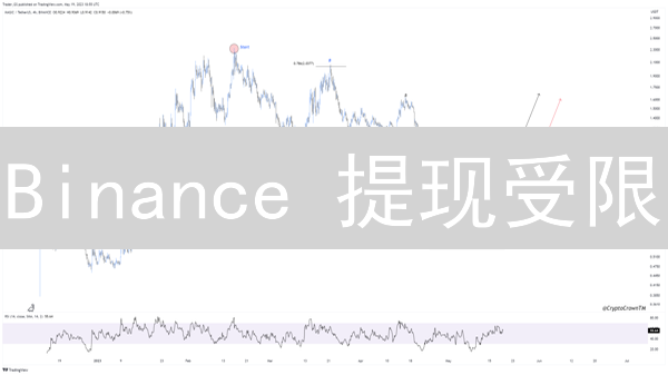 Binance 提现受限？2024 年如何应对 Binance 限制？详解与策略