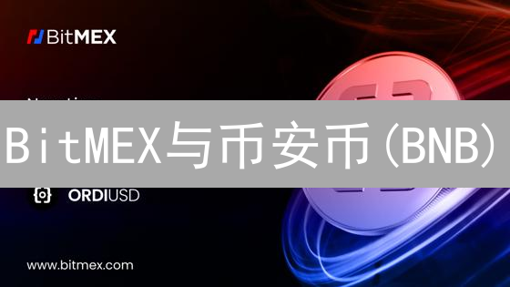 BitMEX与币安币(BNB)：投资价值与应用场景分析