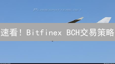 速看！Bitfinex BCH交易策略：抓住暴富机会？风险全解析！