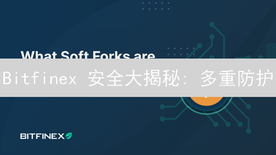 Bitfinex 安全大揭秘: 多重防护, 资产无忧? | 必看!