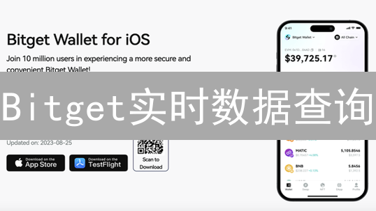 Bitget实时数据查询：数字资产投资决策的关键