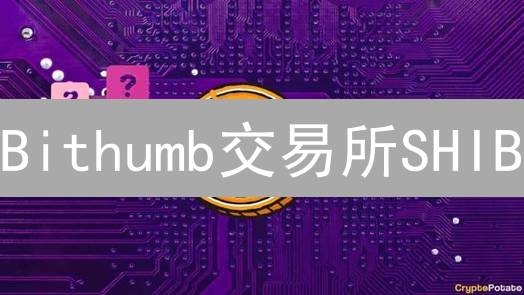 Bithumb交易所SHIB/ETH购买攻略：新手也能轻松上手！