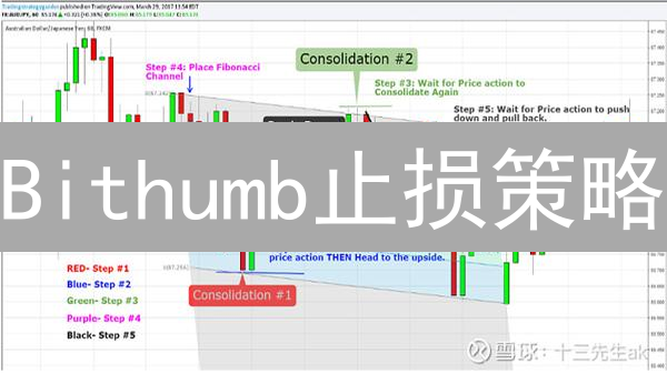 Bithumb止损策略：避坑指南与比例设置技巧！