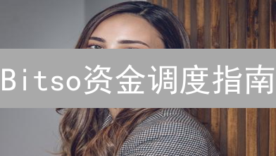 Bitso资金调度指南：安全高效管理你的数字资产