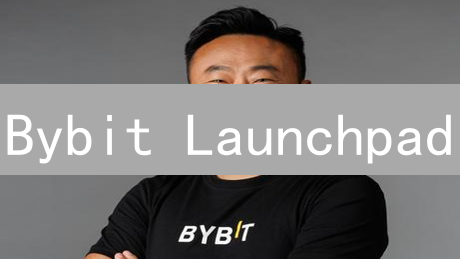 Bybit Launchpad：下一个百倍币？你准备好了吗？
