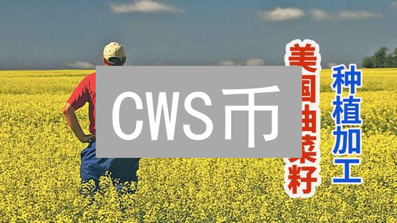 CWS币：游戏生态爆发？价值与风险深度解析！