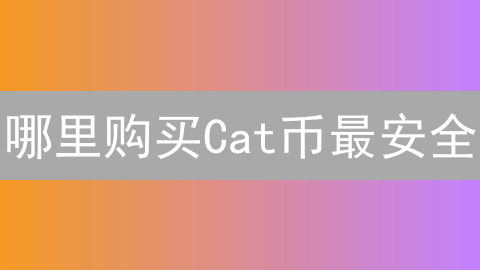 哪里购买Cat币最安全？交易所安全指南