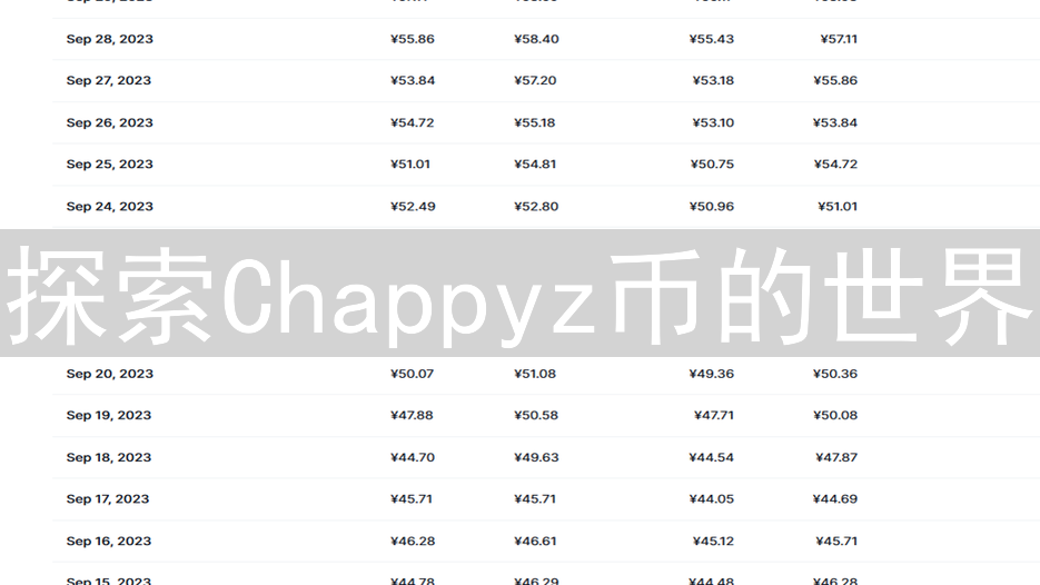 探索Chappyz币的世界：购买指南及未来展望