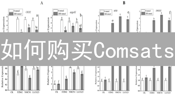 如何购买Comsats？新手购买指南与注意事项，2024最新攻略！