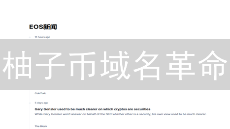 柚子币域名革命：简化交易，引爆DApp生态？深度剖析与以太坊ENS的终极PK！