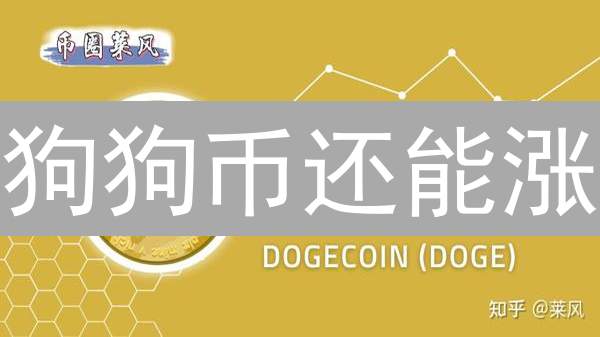 狗狗币还能涨？欧易最新数据揭秘DOGE未来走势！