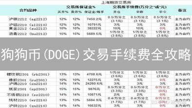 狗狗币(DOGE)交易手续费全攻略：如何省钱又快速？