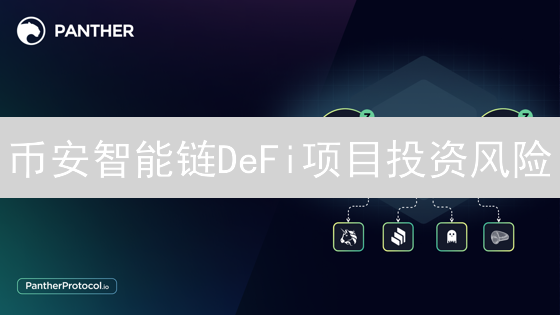 币安智能链DeFi项目投资风险：评估与防范指南
