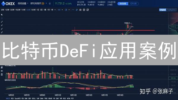 比特币DeFi应用案例：风险与机遇并存的深度解析