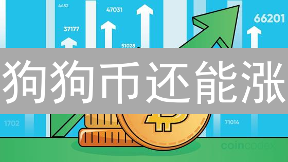 狗狗币还能涨？深度剖析Doge币的爆红之路！